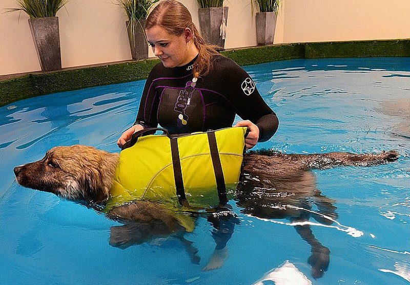 Artikel in der Lippischen Landes-Zeitung